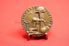 Bronze Medaille - Die schwarze Schande 1920 - SELTEN