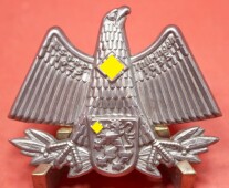 Treffabzeichen der NSDAP - Gau Th&uuml;ringen 1925 - 1935