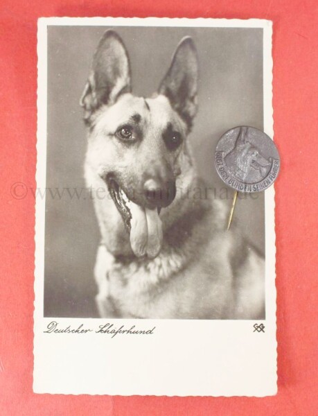 Postkarte - Deutscher Schäferhund mit Abzeichen "Gebt dem Blinden seinen Führer"